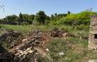1,012 m² Land at Shanzu Estate - 13