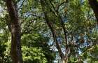 8,093.72 m² Land at Mtwapa Creek Aloo Drive - 12