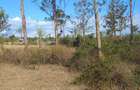 Land in Nyeri - 4