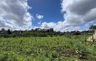 0.5 ac Residential Land in Karen - 7