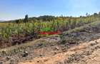 0.05 ha Residential Land at Kamangu - 5
