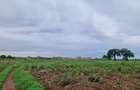 Land at Utalii - Vipingo - 19