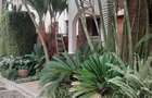 5 Bed Villa with En Suite at Loyangalani Drive - 1