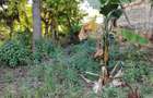 0.0113 ac Residential Land in Ngong - 1