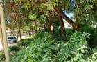 Land at Mtwapa - 17