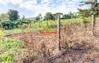 0.05 ha Residential Land at Muthiga - 5