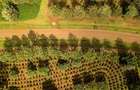 0.125 ac Land at Tatu City - 9