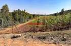 0.05 ha Residential Land at Kamangu - 6