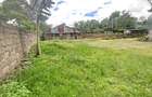 0.5 ac Land in Thome - 1
