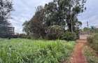 0.5 ac Land in Ruaka - 1