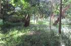 Residential Land at Mwitu Estate - 17