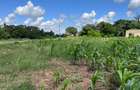 505 m² Land at Mavueni - 13