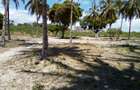 25 ac Land at Kikambala Beach - 5