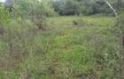 1.5 ac Land in Karen - 5