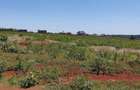 0.25 ac Residential Land at Ruiru-Mugutha (Kabogo) Road - 5