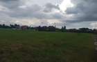 0.5 ac Residential Land in Karen Hardy - 7