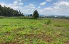 0.05 ha Residential Land in Kikuyu Town - 8