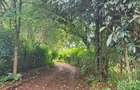 1 ac Land at Limuru Road Ack St Julian - 5