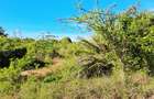 Land at Kwale - 13