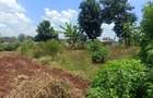 0.05 ha Land at Kiambu Ndumberi Ngemwa - 2