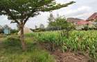 1 ac Land in Ruiru - 4