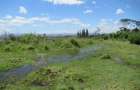 25 ac Land at Moi South Lake Rd - 9