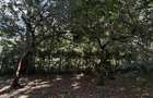 Residential Land at Bomas Of Kenya - 5