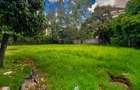 0.5 ac Land at General Mathenge Road - 6