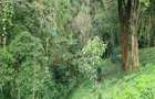 0.5 m² Land at Kitisuru Road - 4