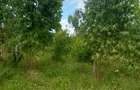 Land in Diani - 4