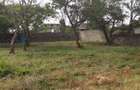 2,024 m² Residential Land in Nyali Area - 3