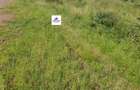 15 ac Land in Mlolongo - 1