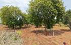 0.045 ha Land at Diani Airport - 2
