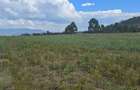 Residential Land at Moi Ndabi - 7