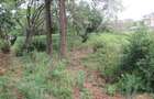 Land at Bogani Rd - 9