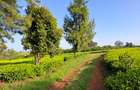 Land in Limuru - 3