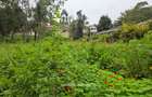 1 ac Land in Runda - 2