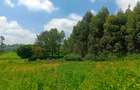 1,000 m² Residential Land at Jambu Tv - 14