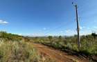 1.66 ac Land in Naivasha - 2