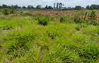 Land in Muthaiga - 5