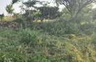 Residential Land at Nguirubi Nachu Amani Gardens - 6