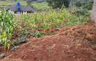 0.05 ha Residential Land in Kikuyu Town - 3