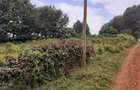 0.125 ac Land in Kikuyu Town - 8