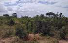 1.00 ac Residential Land at Diani Beach Road - 6