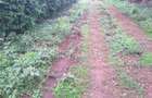 0.1 ha Residential Land in Ngong - 8