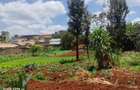 0.25 ac Land at Kangemi - 5
