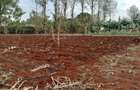 Residential Land at Ruiru- Kibichoi Route - 6