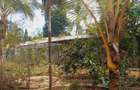 2 ac Land in Nyali Area - 4