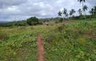 Land in Kwale County - 4