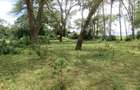 25 ac Land at Moi S Lake Rd - 7